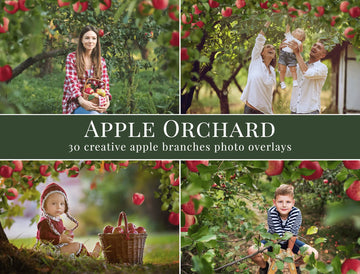 Apple Orchard - foto overlays
