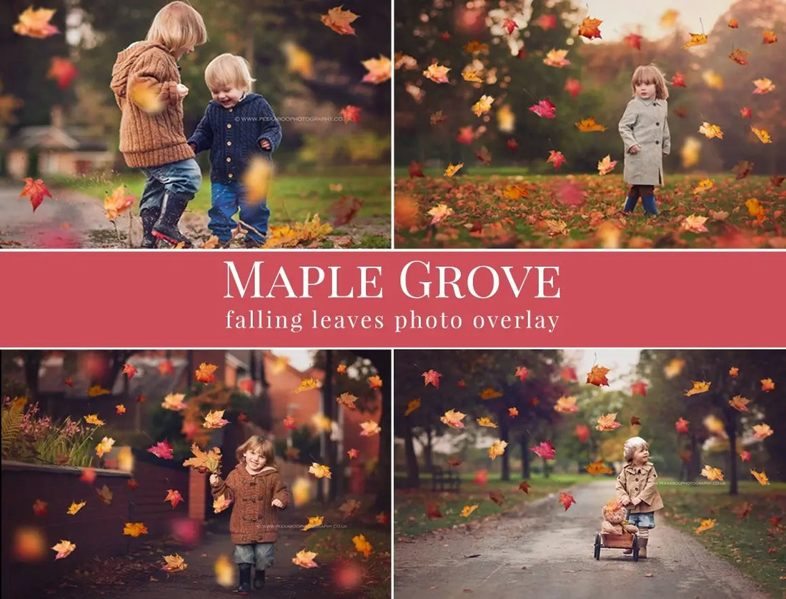 Grove Bundle