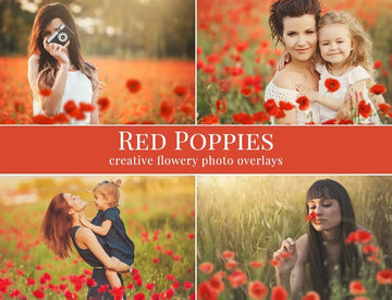 Red Poppies - foto overlays