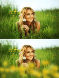 spring photo overlays