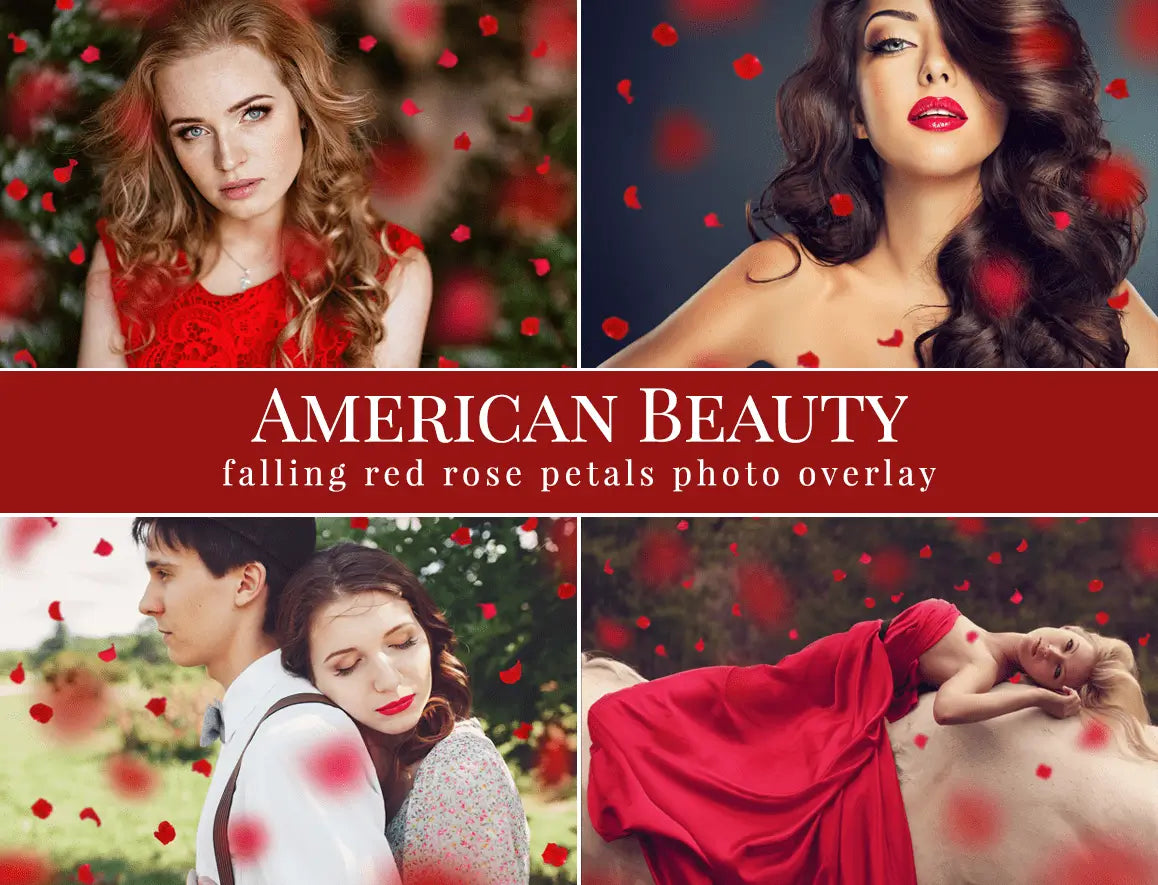 American Beauty - foto overlays