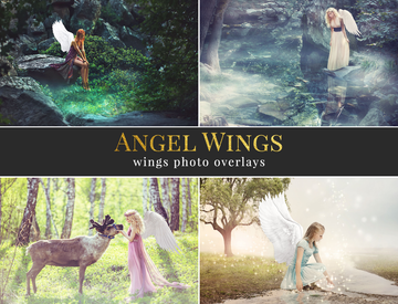 Angel Wings - foto overlays