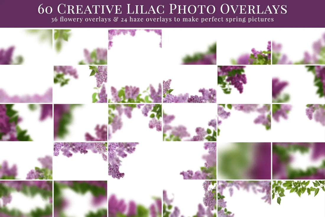 Dreamy Lilac foto overlays