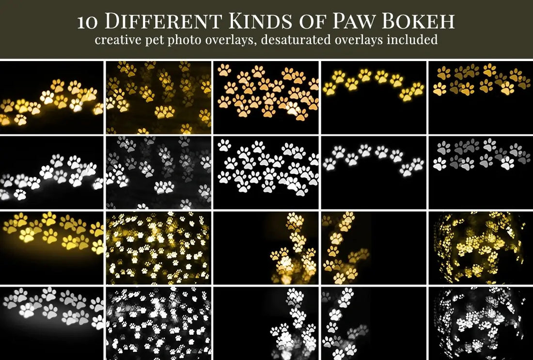 Dog Paws Bokeh - foto overlays