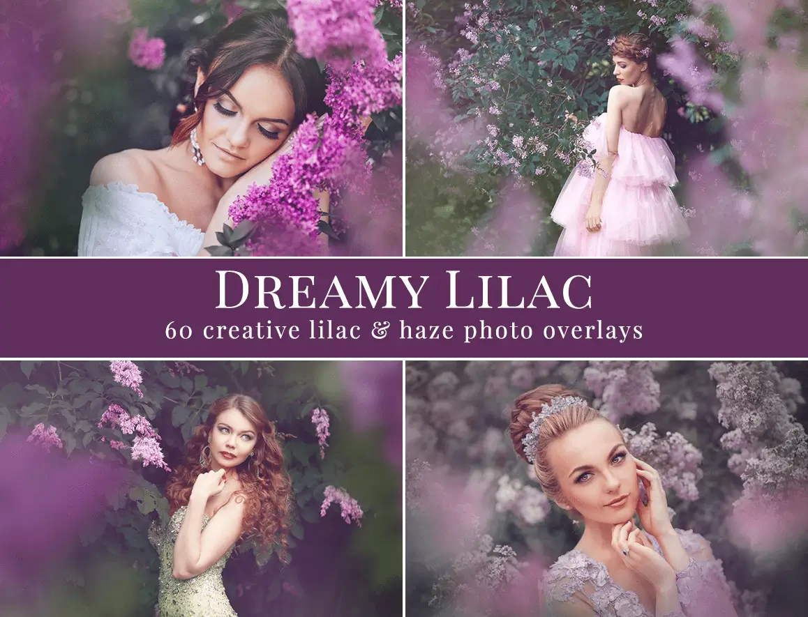 Dreamy Lilac foto overlays