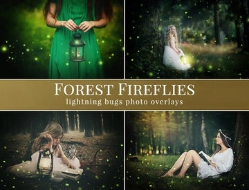 Forest Fireflies - foto overlays