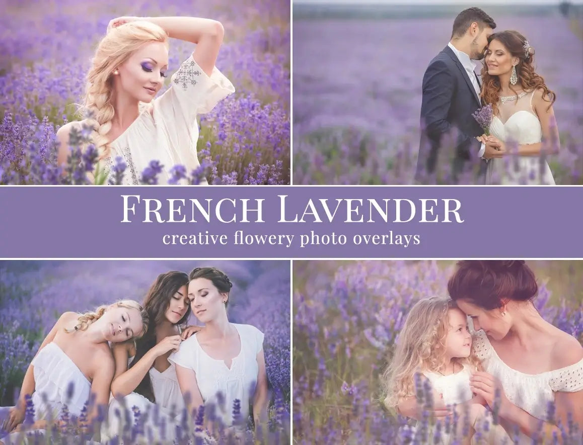 French Lavender - foto overlays