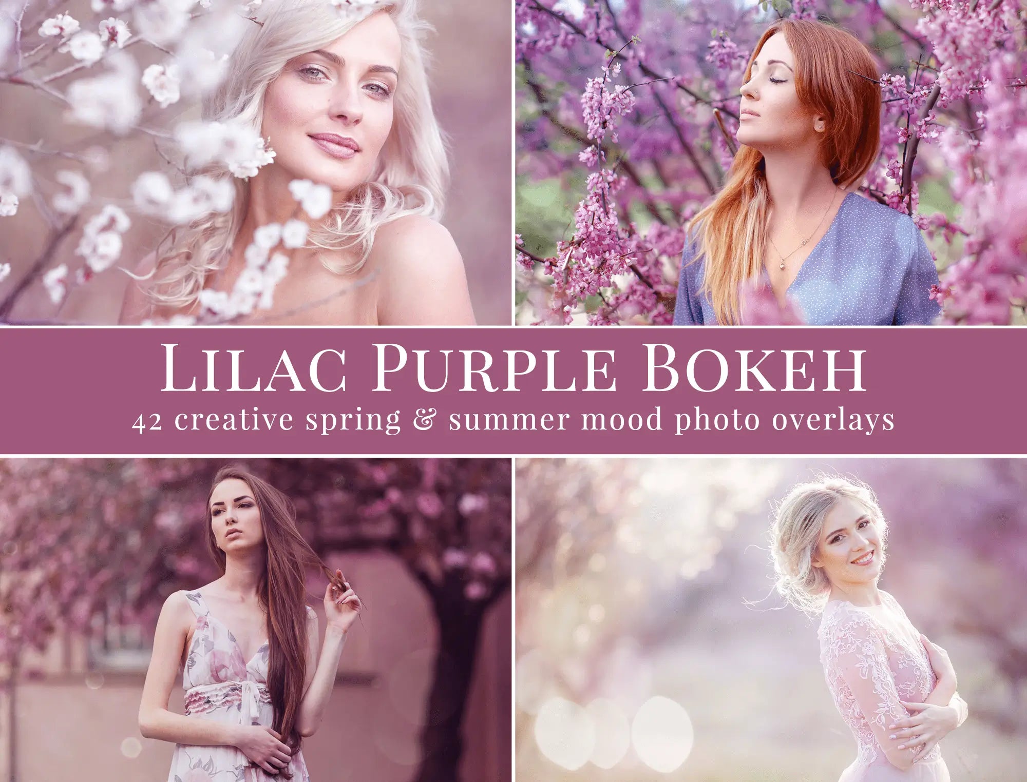 Lilac Purple Bokeh - foto overlays