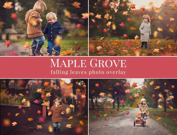 Maple Grove - foto overlays