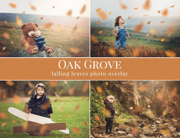 Oak Grove - foto overlays