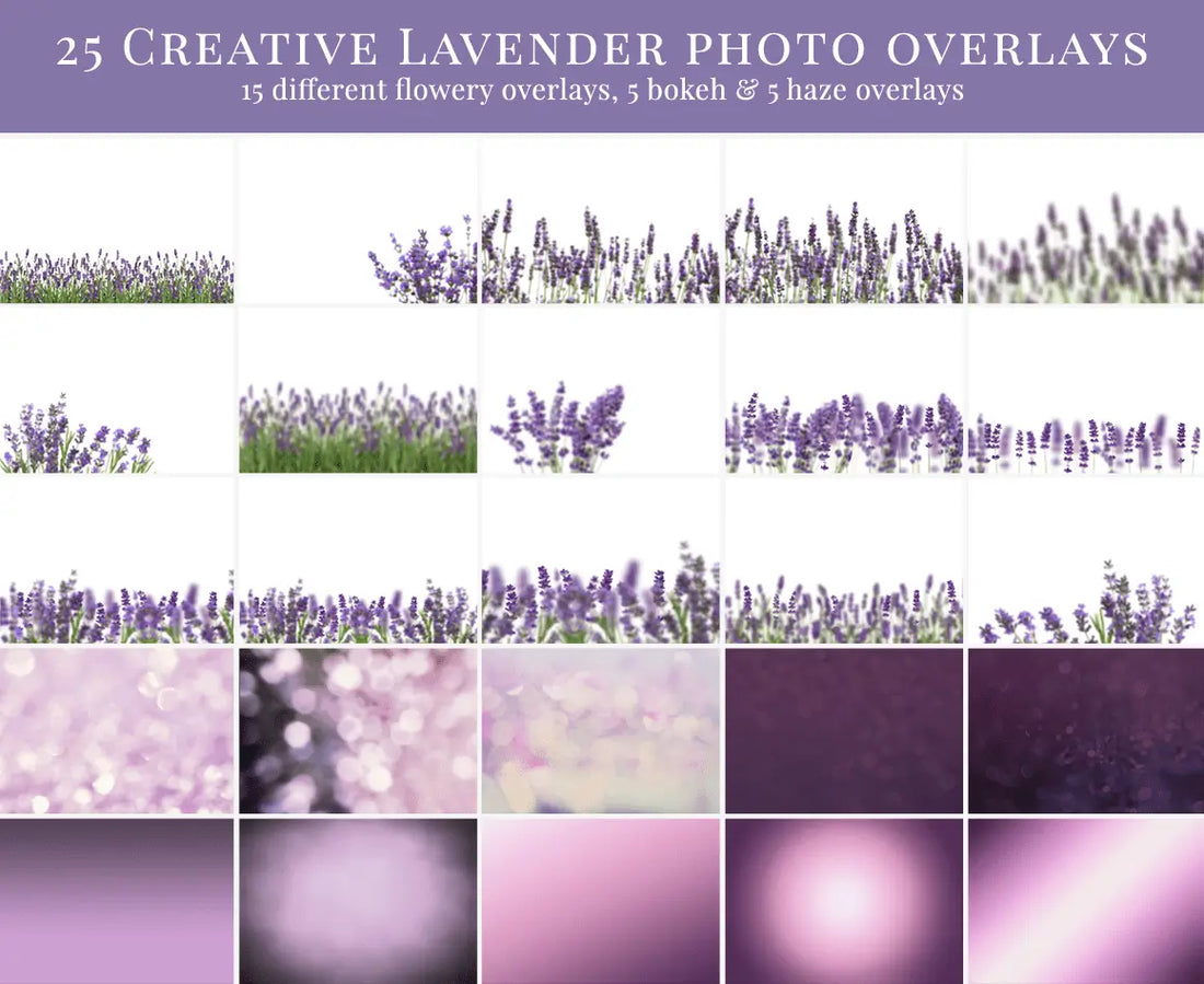 French Lavender - foto overlays