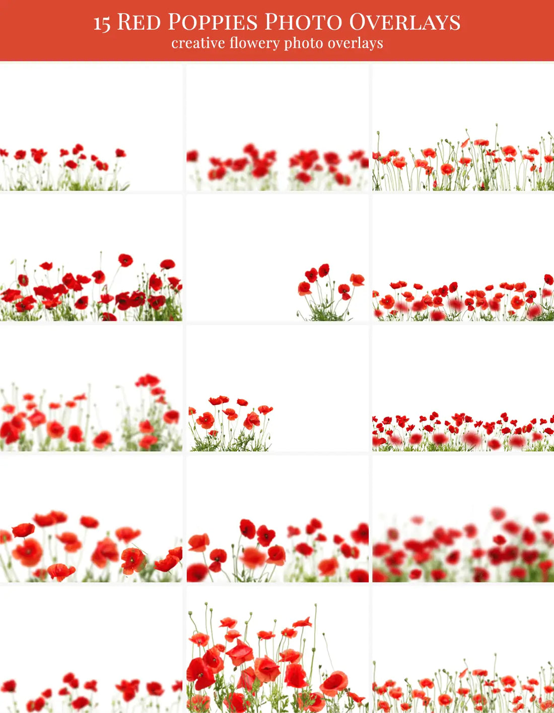 Red Poppies - foto overlays