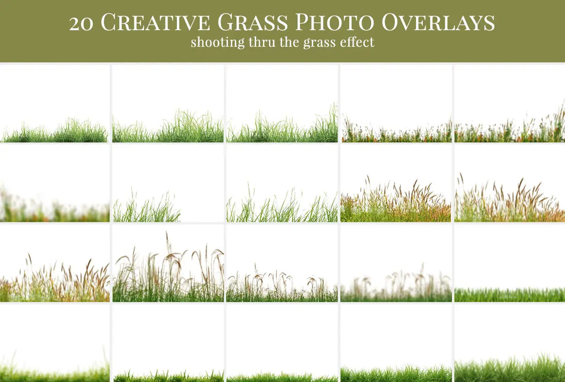 In the Grass - foto overlays