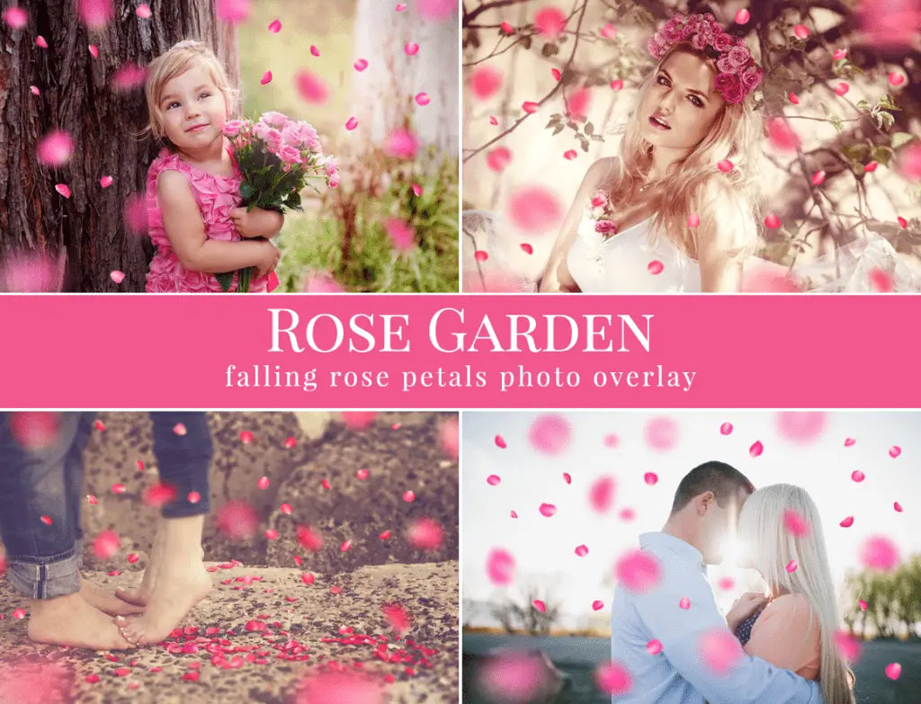 Rose Garden - foto overlays