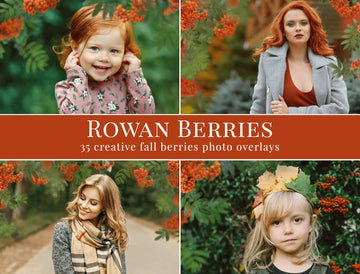 Rowan Berries - foto overlays