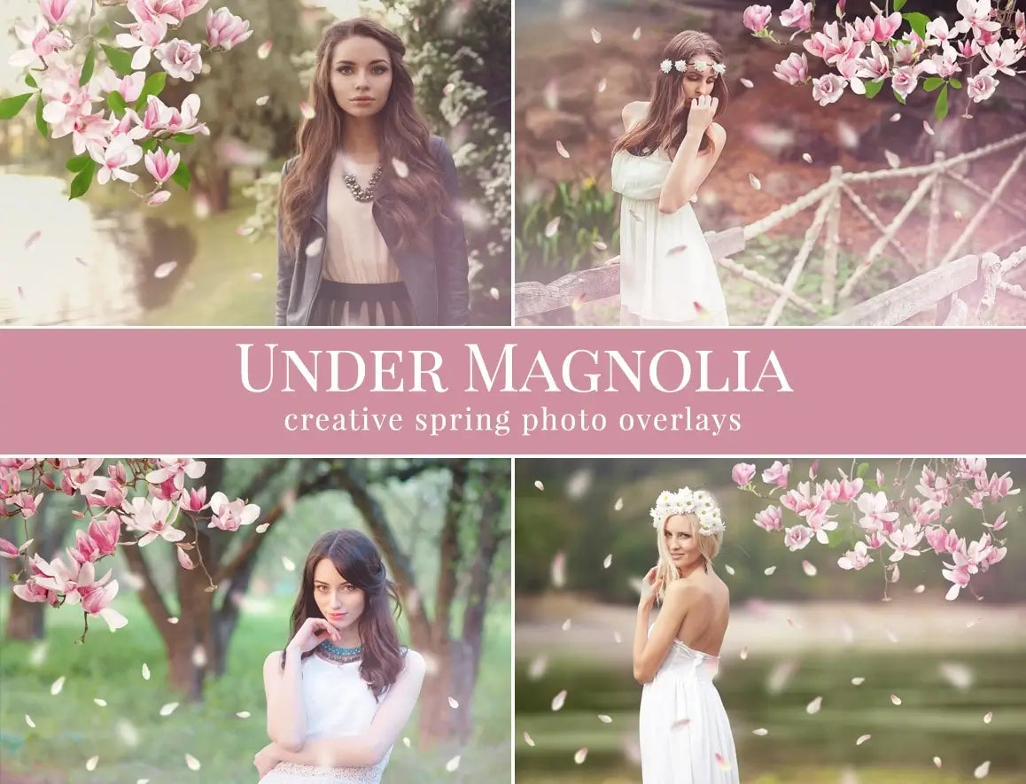 Under Magnolia - foto overlays