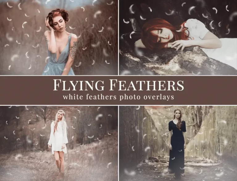 feathers photo overlays