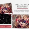 Falling Snow - foto overlay zdarma